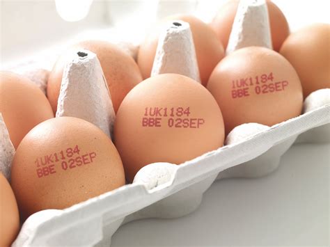 egg date stamp meaning uk