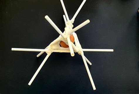 egg drop designs