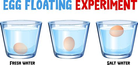 Egg Floatation Buoyancy Science Projects Buoyancy Science Experiments - Buoyancy Science Experiments