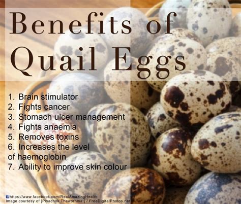 egg is good for cough