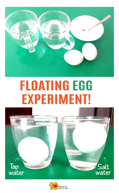 Egg Science Experiment   Floating Egg Science Experiment Using Salt Sugar Amp - Egg Science Experiment