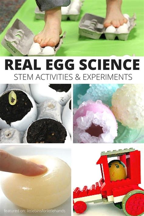 Egg Science Experiments Little Bins For Little Hands Egg Science Experiment - Egg Science Experiment