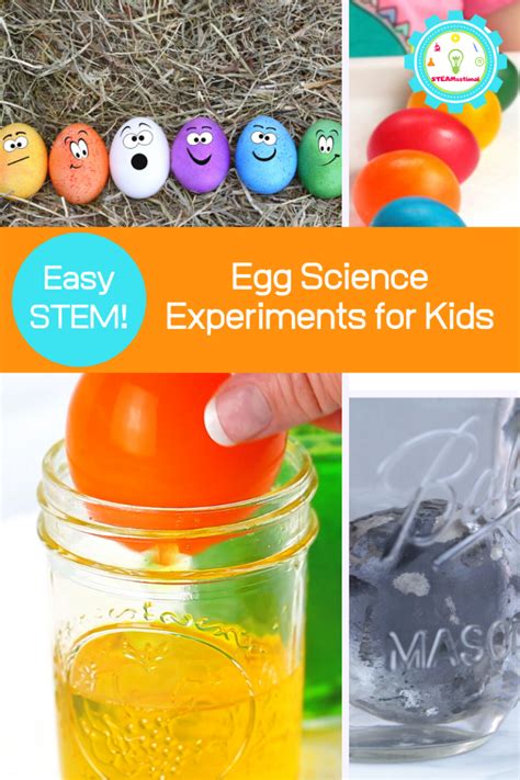 Egg Science Experiments Using Real Eggs Steamsational Science Eggs - Science Eggs