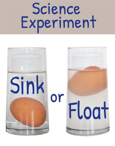 Egg Science Water Experiment Sink And Float Floating Egg Science Experiments - Floating Egg Science Experiments