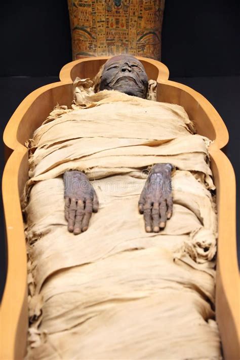 Full Download Egyptian Mummies Unravelling The Secrets Of An Ancient Art 