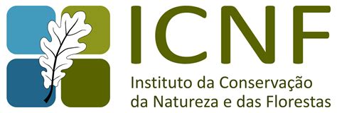 campobet: Aposte nas Melhores Apostas Desportivas Online e Fique Tranquilo com a Proteção de Fundos - Foto 2