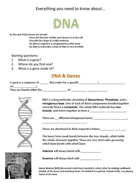 Eighth Grade Grade 8 Dna Rna And Genetics 8th Grade Genetics - 8th Grade Genetics