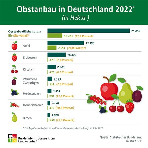 einfuhrbestimmungen deutschland obst