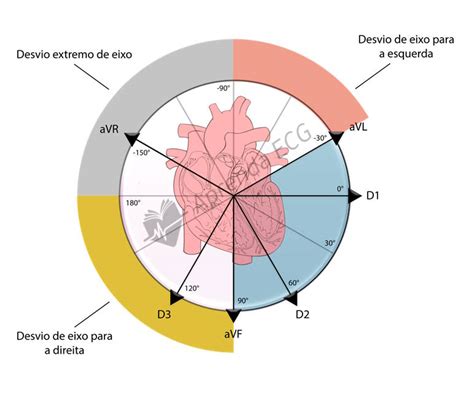 Eixos Do Ecg