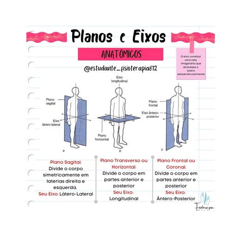 Eixos E Planos Anatomicos