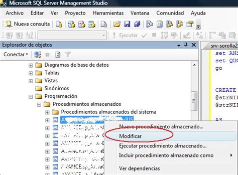 ejecutar procedimiento almacenado sql server con parametros de entrada