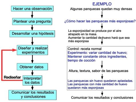 Ejemplo De Metodo