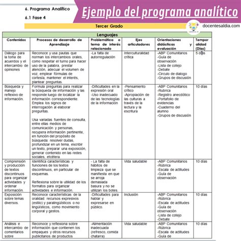 Ejemplo De Programa Analitico