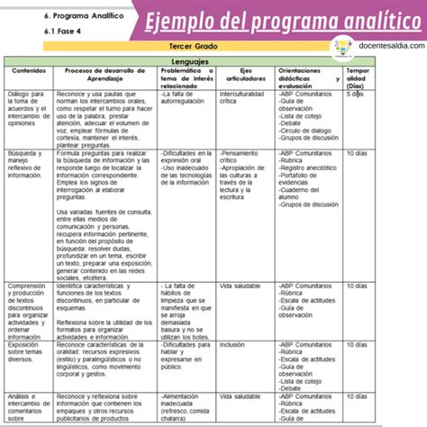 Ejemplo De Programa Analítico