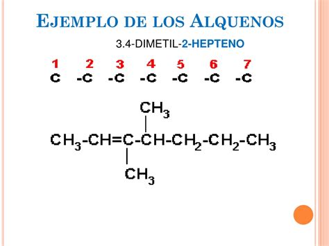 Ejemplos De Alquenos