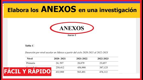 Ejemplos De Anexos