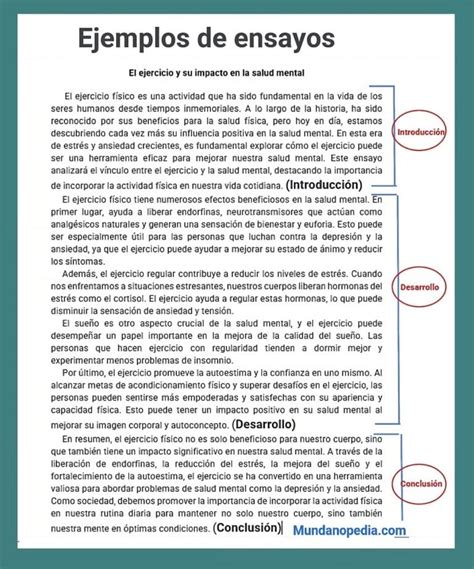 Ejemplos De Ensayos