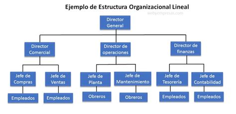 Ejemplos De Estructura