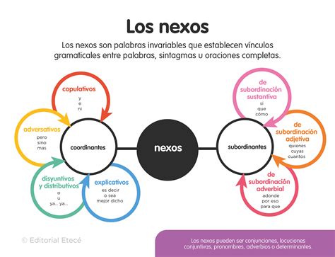 Ejemplos De Nexos