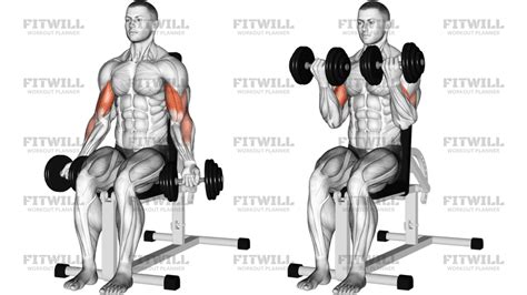 Ejercicio Bicep Mancuerna
