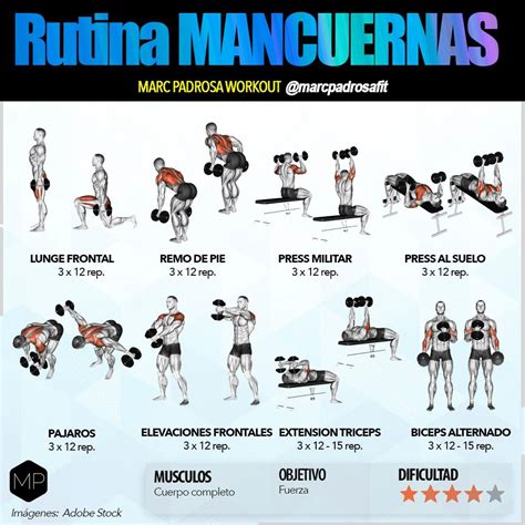 Ejercicios Con Mancuernas