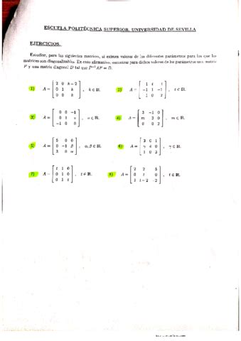 ejercicios de matrices con parametros resueltos