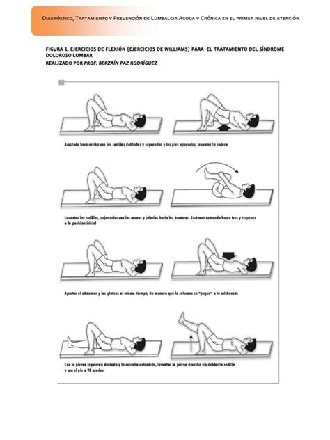 Ejercicios De Williams Pdf