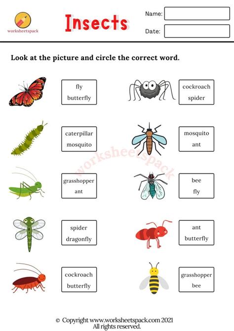 Ejercicios Ingles Bugs World
