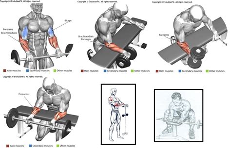 Ejercicios Para Antebrazo