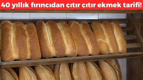 Ekmek Eş Anlamlısı