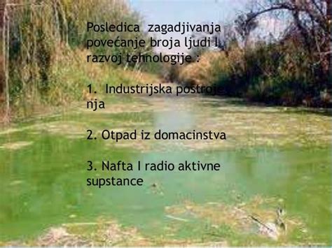ekosistem kopnenih voda prezentacija