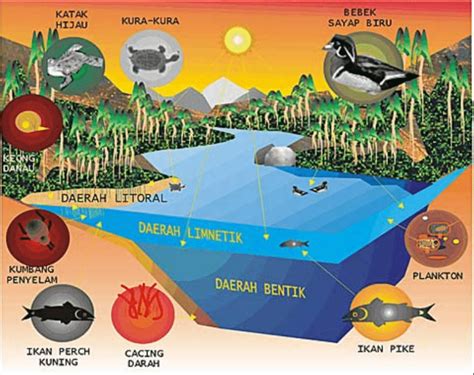 ekosistem laut biotik dan abiotik