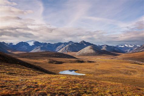 ekosystemens dynamik