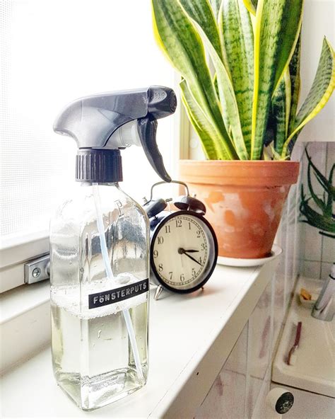 ekotipset fönsterputs