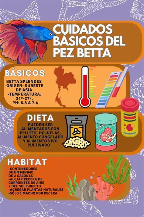el abc del pez betta splendens