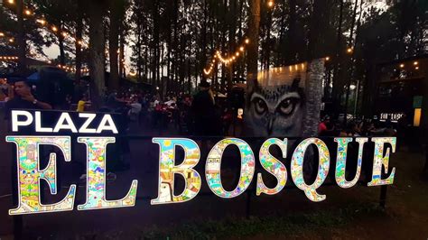 el bosque ahuachapan