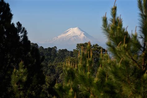 el bosque de los murmullos spanish edition