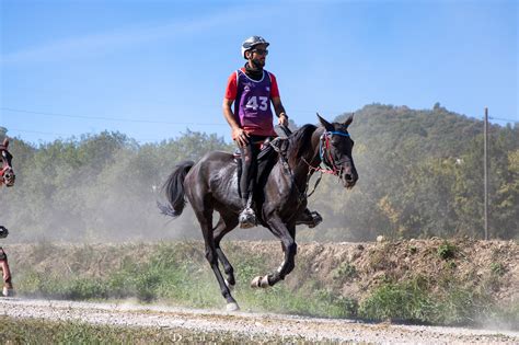 El Caballo De Raid