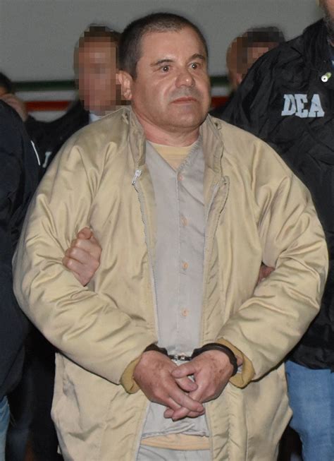 el chapo