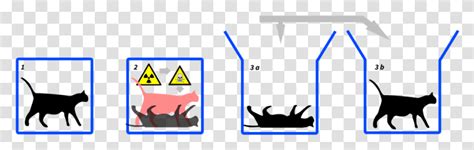 El Gato De Schrödinger