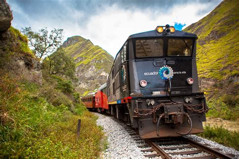 El Tren The Train