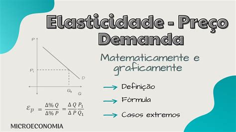 Elasticidade Preço Da Demanda