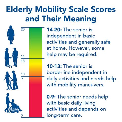Elderly Mobility Scale Calculator