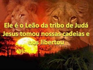 Ele é O Leão Da Tribo De Judá