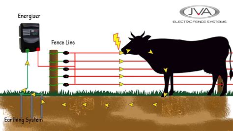 electric fence Light CattleToday.com - Cattle, Cow & Ranching …