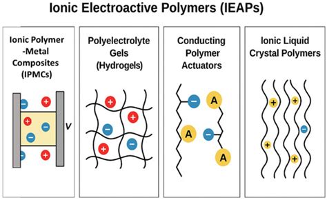 Electroactive Polymer Eap Actuators As Artificial Muscles Reality Potential And Challenges Second Edition