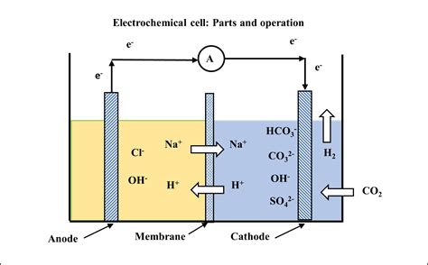 Electrochemical Process Engineering A To The Design Of Electrolytic Plant 1st Edition