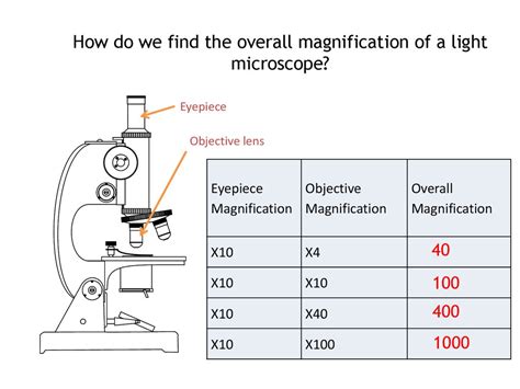 Electron Microscope Magnification Range