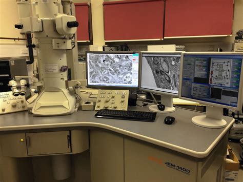 Electron Microscopy Training Programs