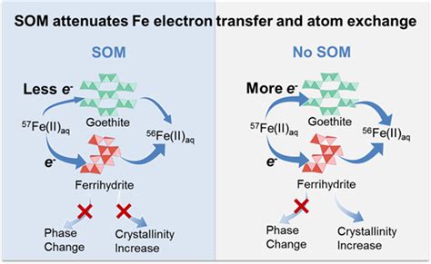 Electron Transfer Atom Exchange And Transformation Of Iron Minerals In Science - Minerals In Science
